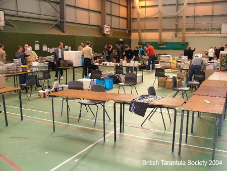 BTS 2004 - set-up